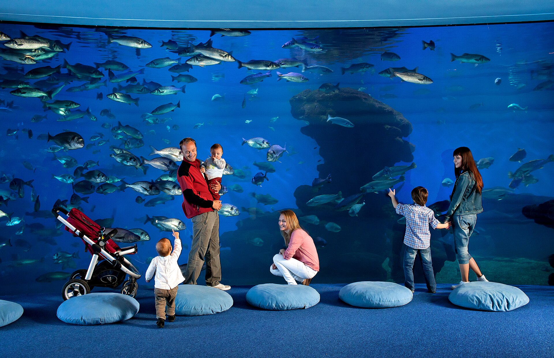 Gran tanque interior de Palma Aquarium
